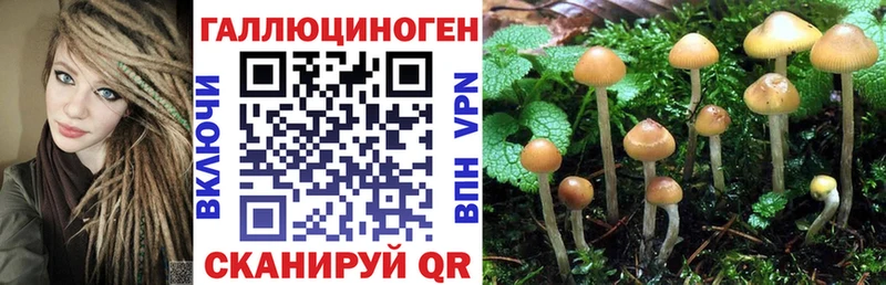 Галлюциногенные грибы Magic Shrooms  Купить где  Усть-Лабинск 